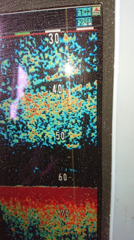 金沢八景鴨下丸 釣果