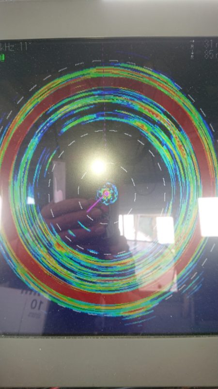 金沢八景鴨下丸 釣果