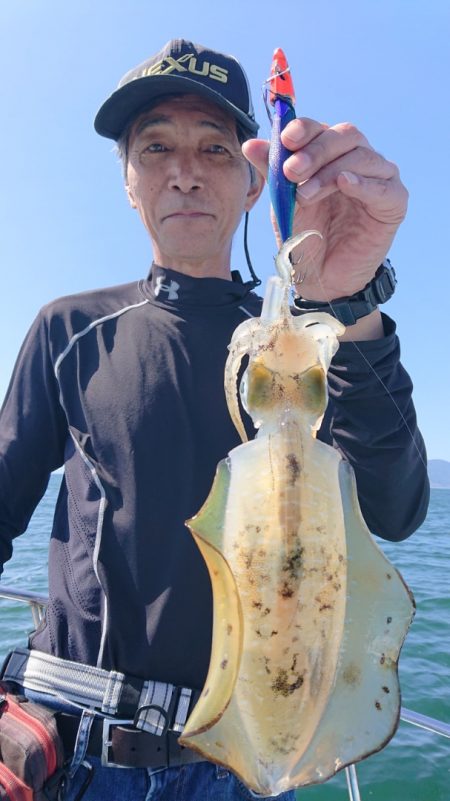 シースナイパー海龍 釣果