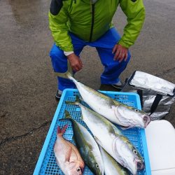 第三共栄丸 釣果