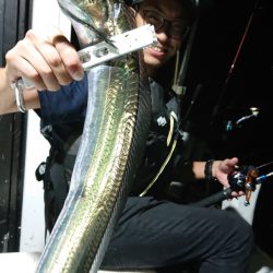 シースナイパー海龍 釣果