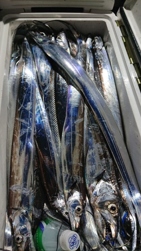 シースナイパー海龍 釣果