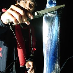 シースナイパー海龍 釣果