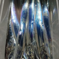 シースナイパー海龍 釣果