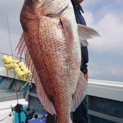 だて丸 釣果