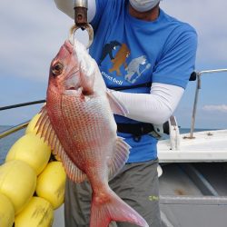 だて丸 釣果