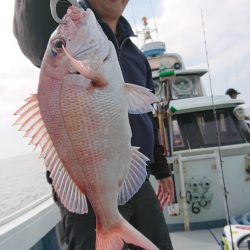 だて丸 釣果
