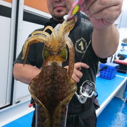 第三共栄丸 釣果