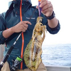 ブルースフィッシングサービス 釣果