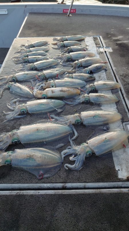 ブルースフィッシングサービス 釣果