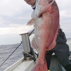 だて丸 釣果