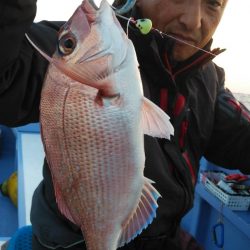 新幸丸 釣果
