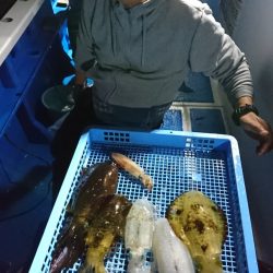 第三共栄丸 釣果