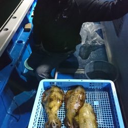 第三共栄丸 釣果