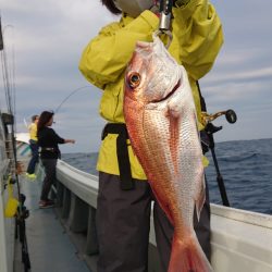 だて丸 釣果