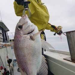だて丸 釣果