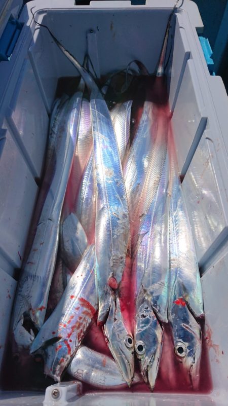 シースナイパー海龍 釣果