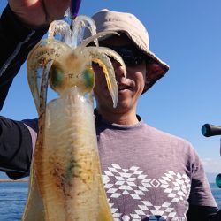 シースナイパー海龍 釣果