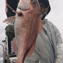 シースナイパー海龍 釣果