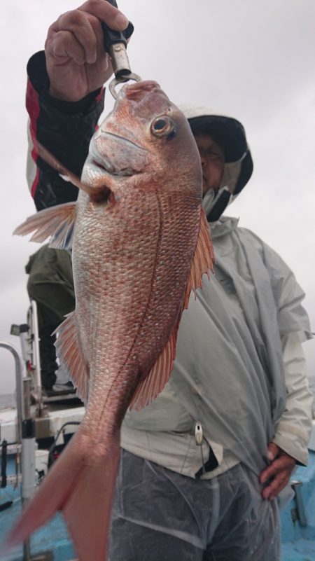 シースナイパー海龍 釣果