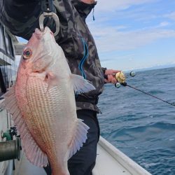 だて丸 釣果