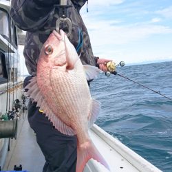 だて丸 釣果