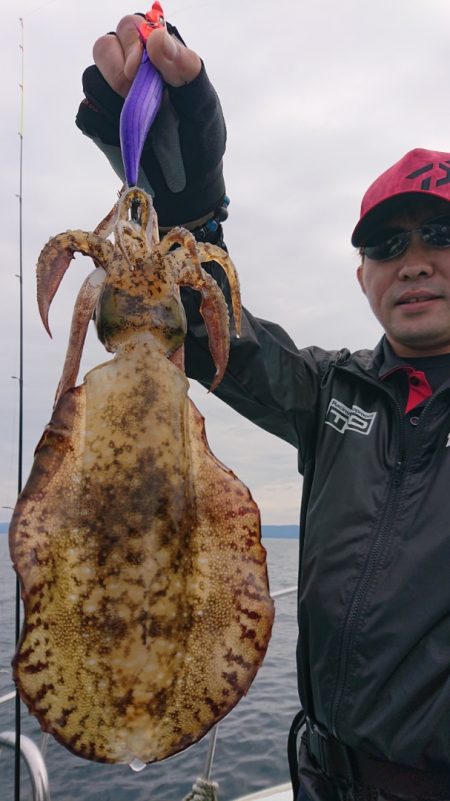 シースナイパー海龍 釣果