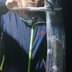 シースナイパー海龍 釣果