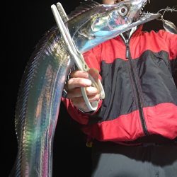 シースナイパー海龍 釣果