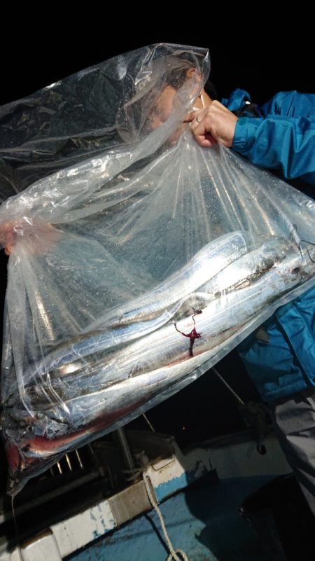 シースナイパー海龍 釣果