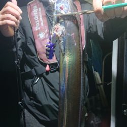 シースナイパー海龍 釣果