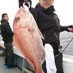 だて丸 釣果
