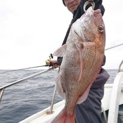 だて丸 釣果
