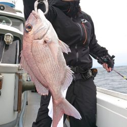 だて丸 釣果
