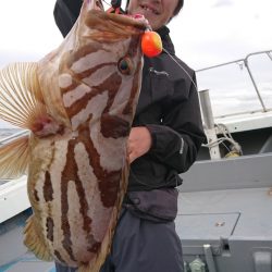 だて丸 釣果