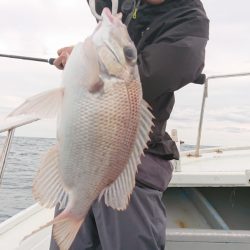 だて丸 釣果