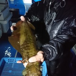 第三共栄丸 釣果