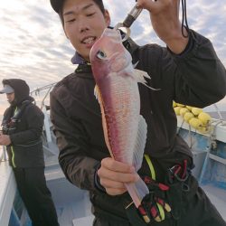 だて丸 釣果
