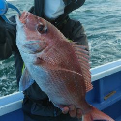 新幸丸 釣果