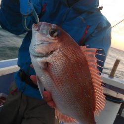 新幸丸 釣果