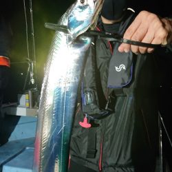 シースナイパー海龍 釣果