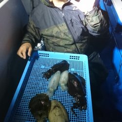 第三共栄丸 釣果