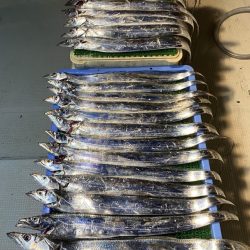 釣人家 釣果
