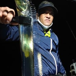 シースナイパー海龍 釣果