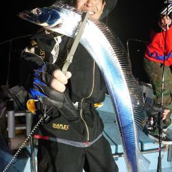 シースナイパー海龍 釣果