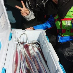 シースナイパー海龍 釣果