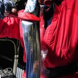 シースナイパー海龍 釣果