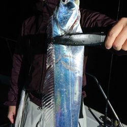 シースナイパー海龍 釣果