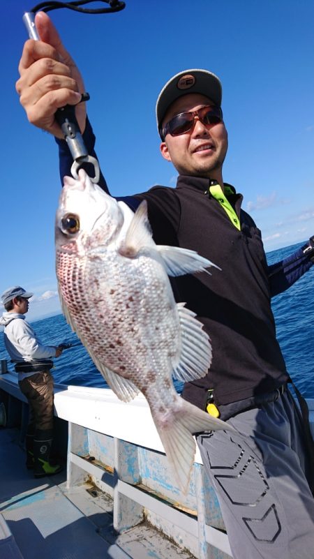 だて丸 釣果