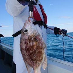 だて丸 釣果